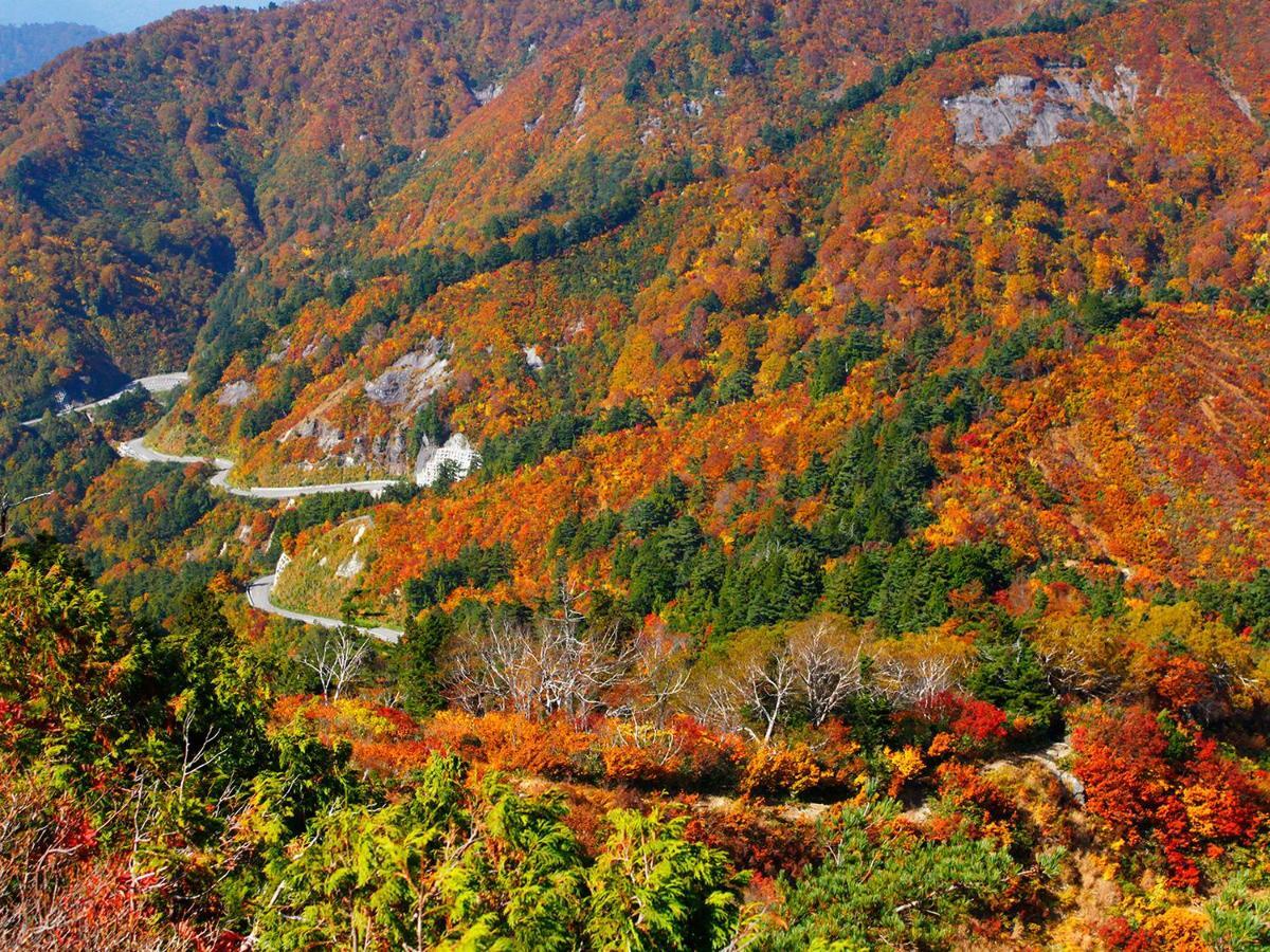โรงแรมอิชิริโนะ โคเงง โรอัง Hakusan ภายนอก รูปภาพ